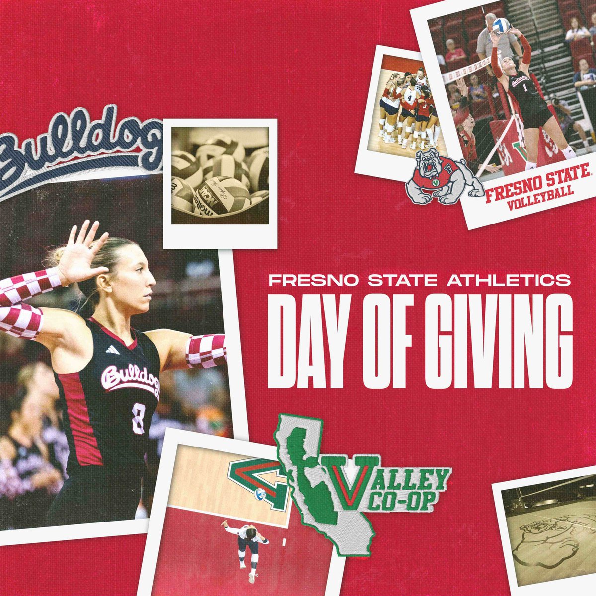 Fresno State Volleyball tweet media
