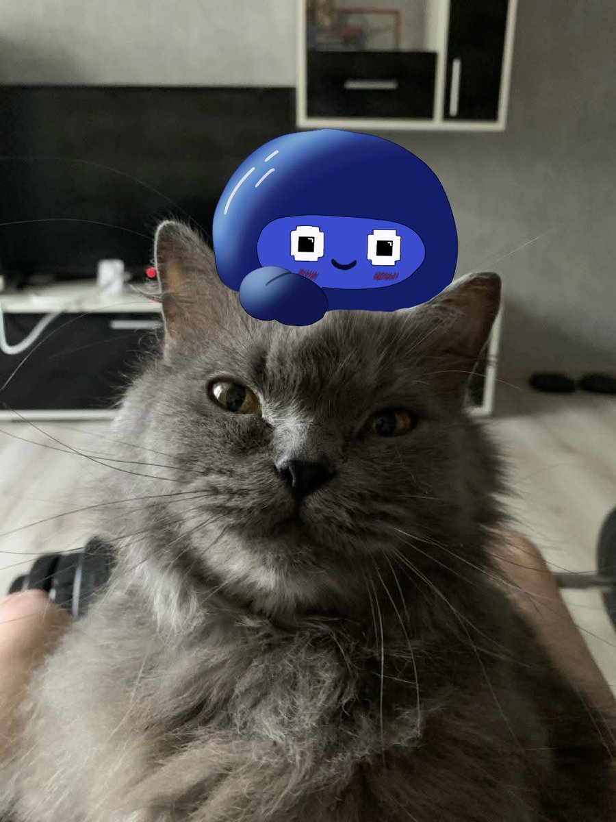 argonqw⌘🛠️ tweet media