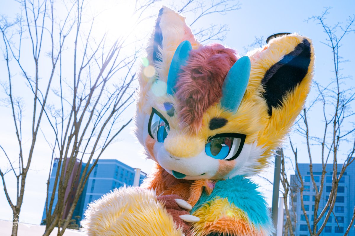 나찬📸 tweet media