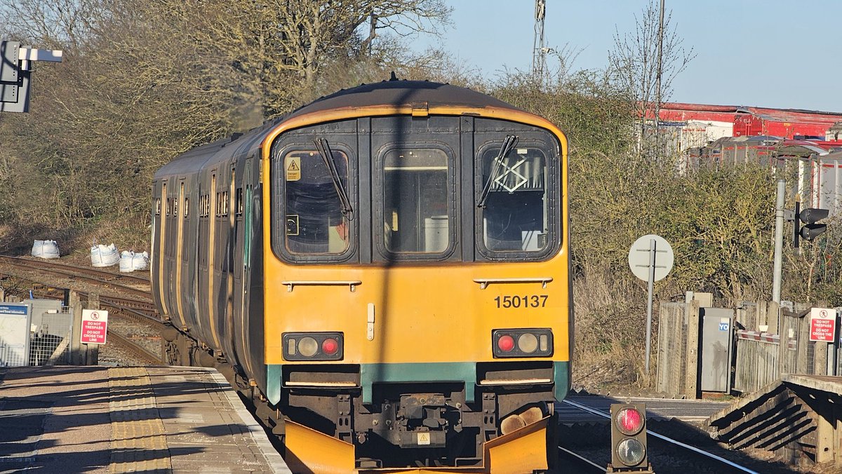 Saaluvesh tweet media