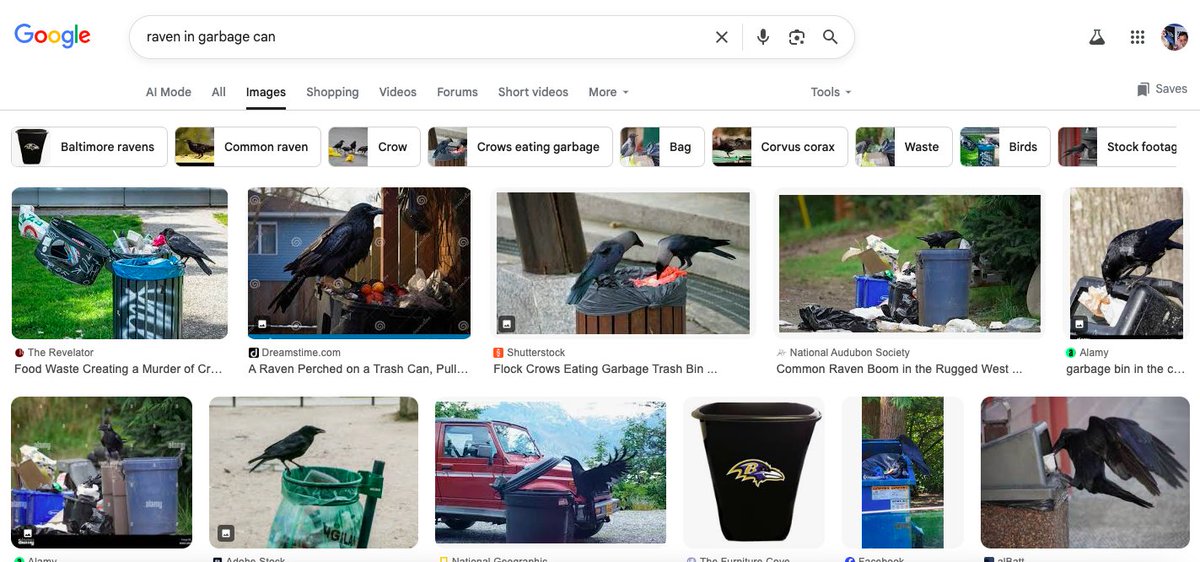 Nick Suss tweet media