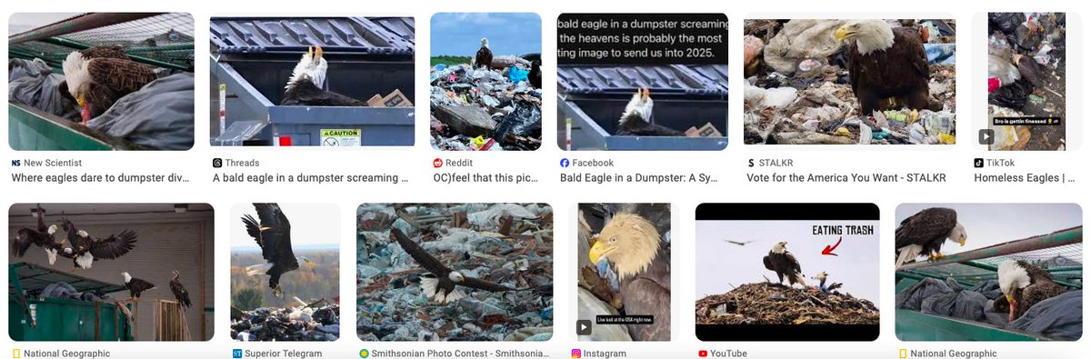 Nick Suss tweet media