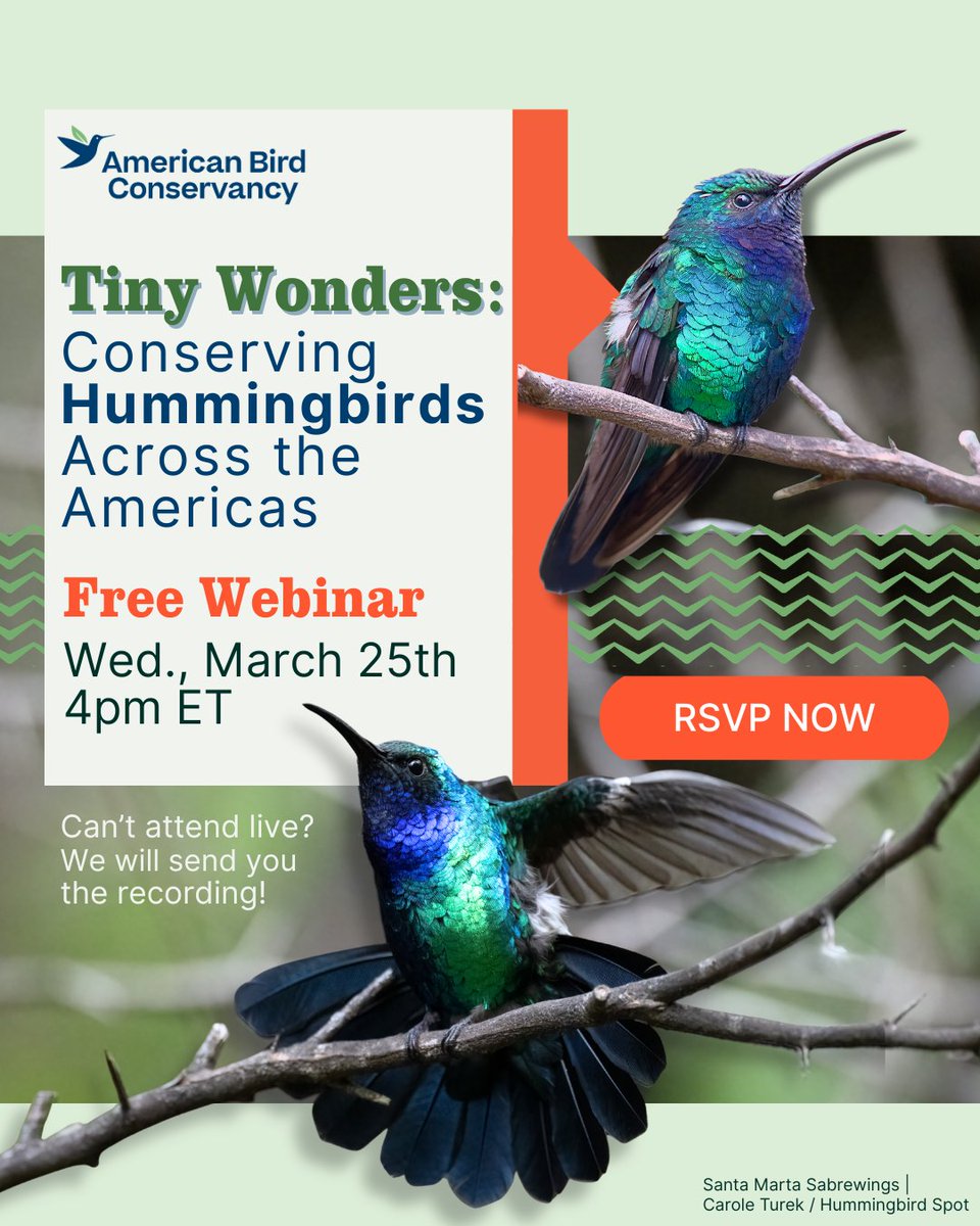 American Bird Conservancy tweet media