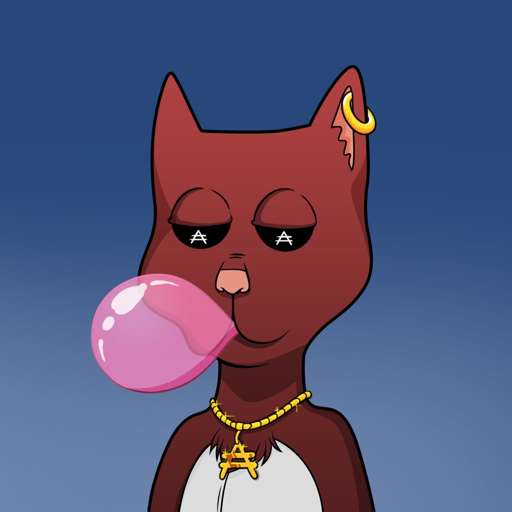 Boss Cat Rocket Club Sales tweet media