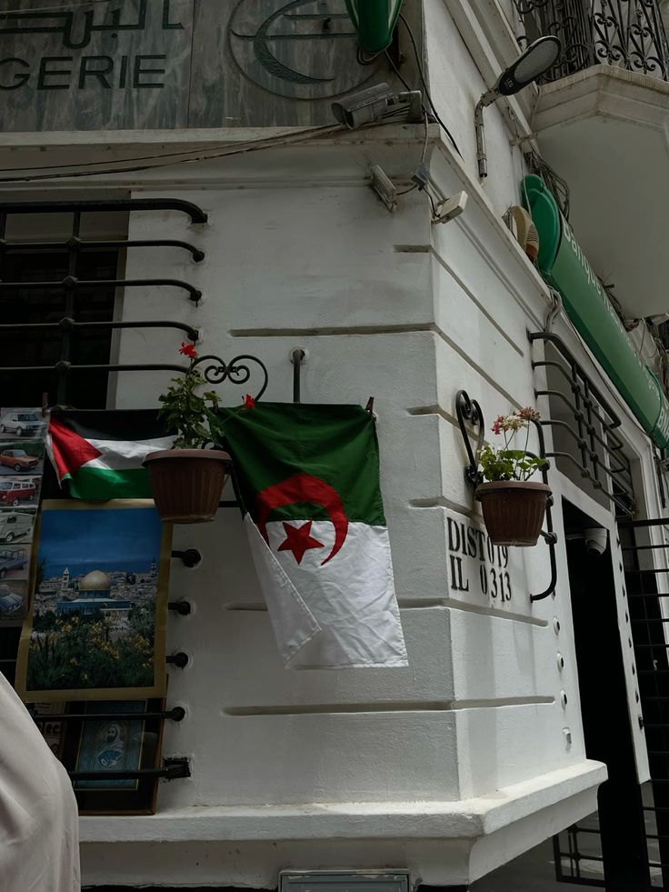 MARWA𓂆🇵🇸 tweet media