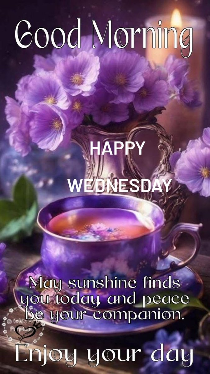 🌞 Sophie S 🌴 tweet media