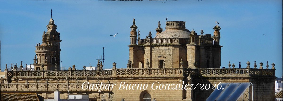 Album Chipiona tweet media