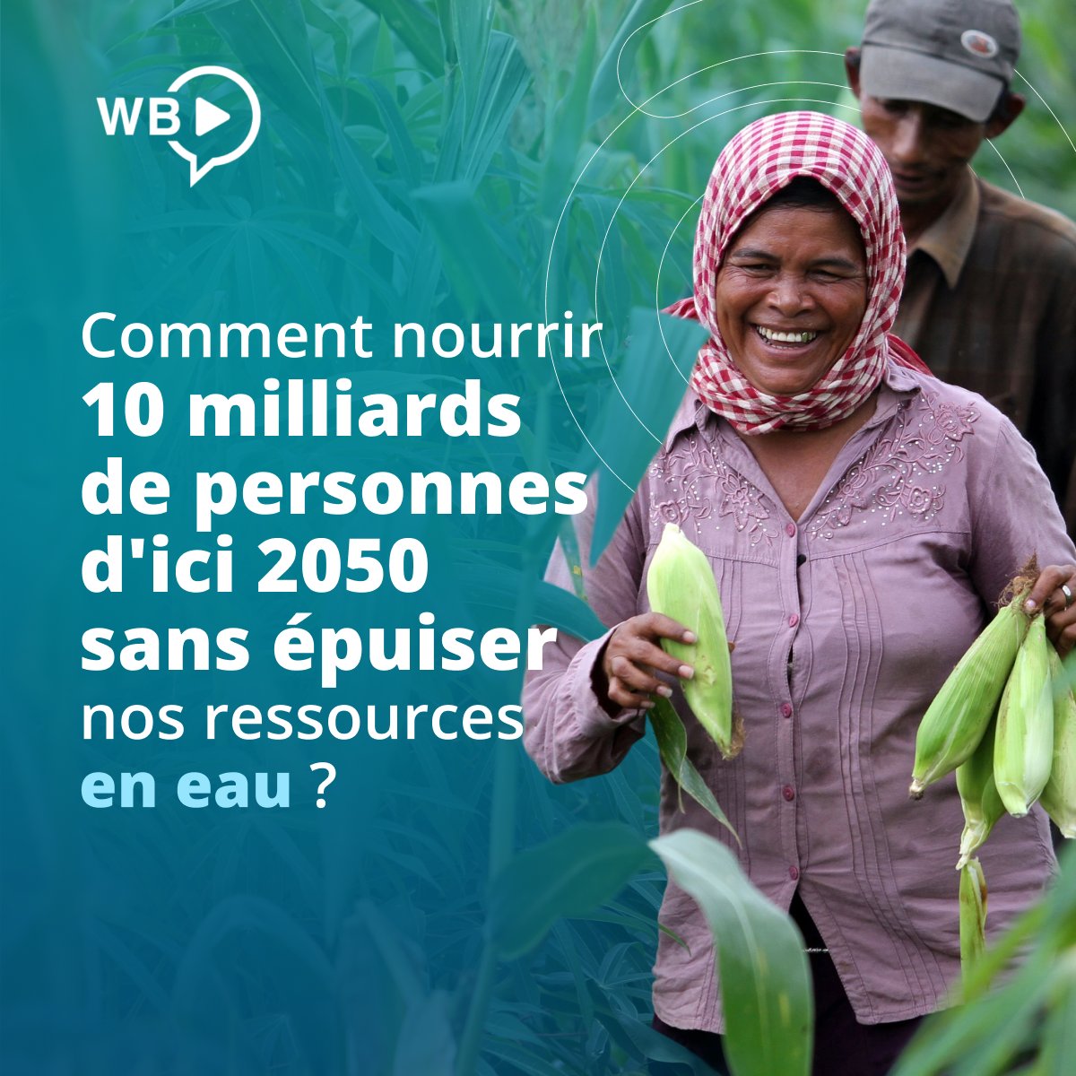 Banque mondiale tweet media