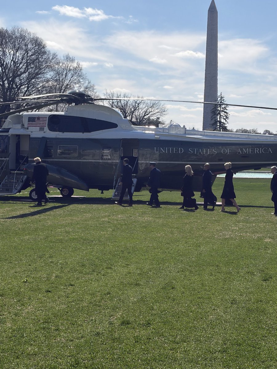 Alayna Treene tweet media