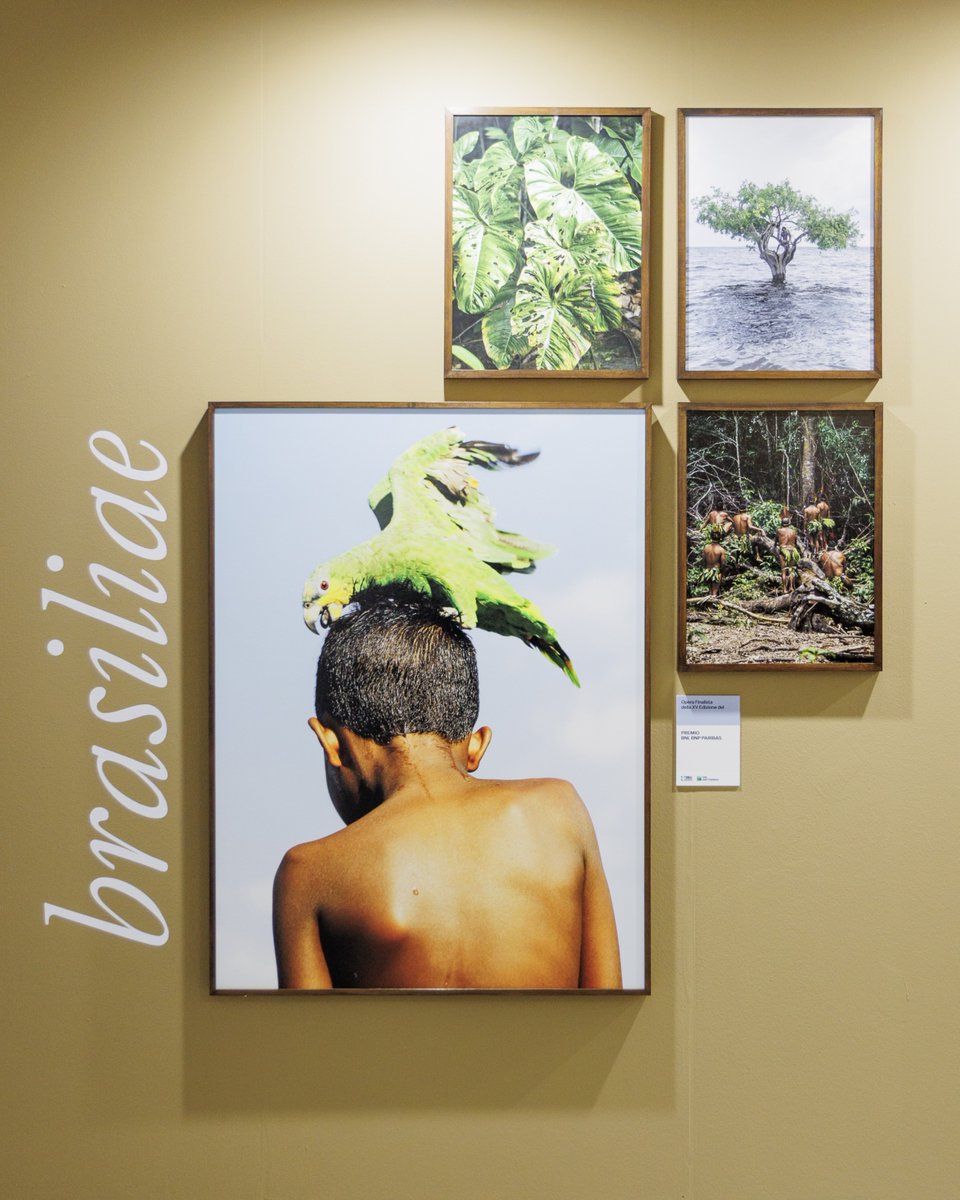 MIA Photo Fair BNP Paribas tweet media