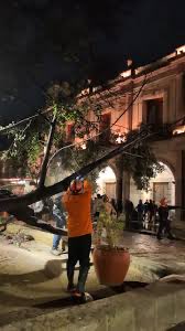 leyvaguilar's tweet photo. Cae un #laurel en el #ZócalodeOaxaca, pero los oaxaqueños ansían que el que caiga, sea el #Bonsai que despacha en la #Sego. @LagarrapataS22 @Gelosnivon @rojasayuzo @ImparcialOaxaca @ZonaRoja_Oaxaca @nvinoticiasoax @CentroNoticiasO @Quadratinoaxaca @GuerrerosOax https://t.co/dOKV0RREpO