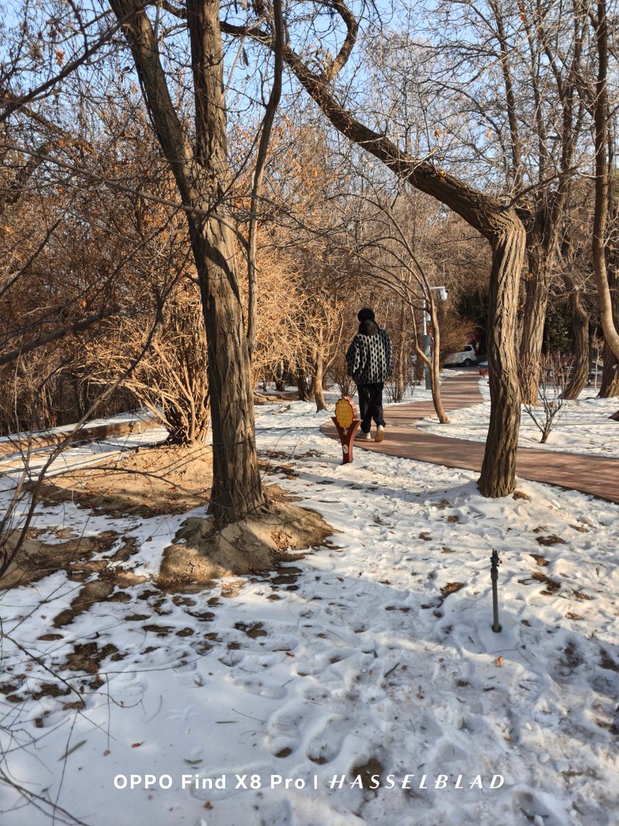 Jackson Soldic tweet media