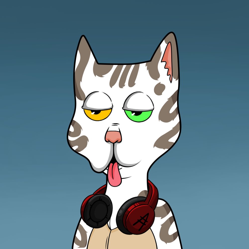 Boss Cat Rocket Club Sales tweet media