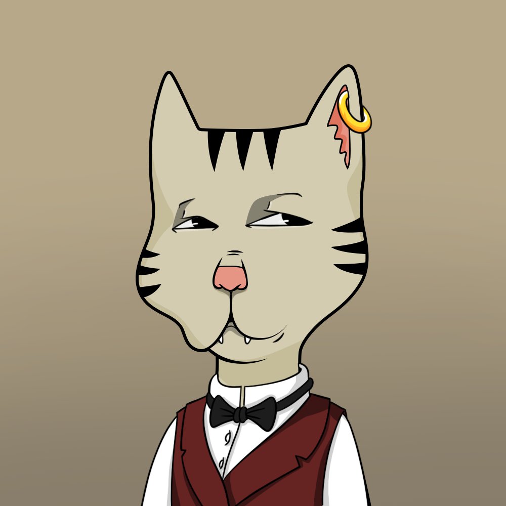 Boss Cat Rocket Club Sales tweet media