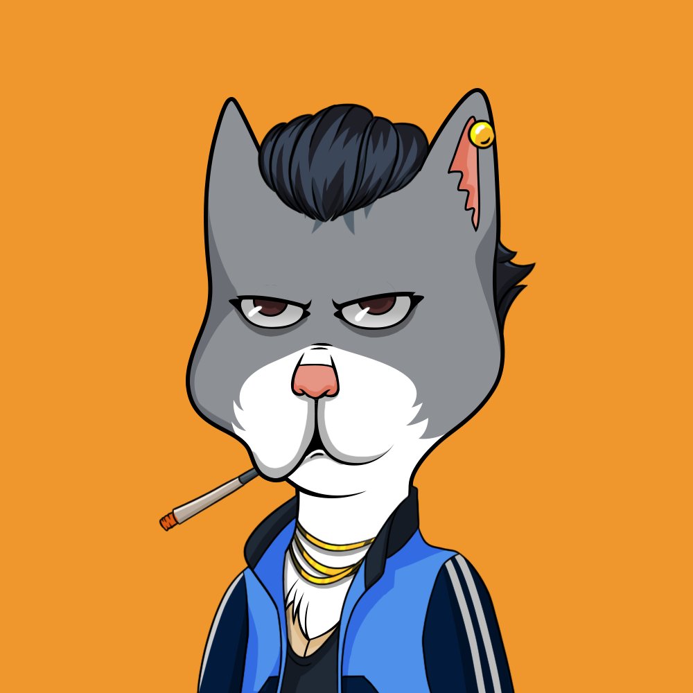 Boss Cat Rocket Club Sales tweet media