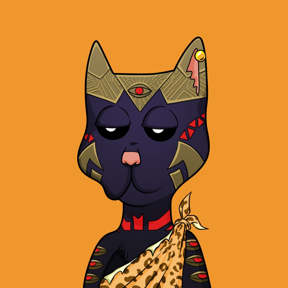 Boss Cat Rocket Club Sales tweet media