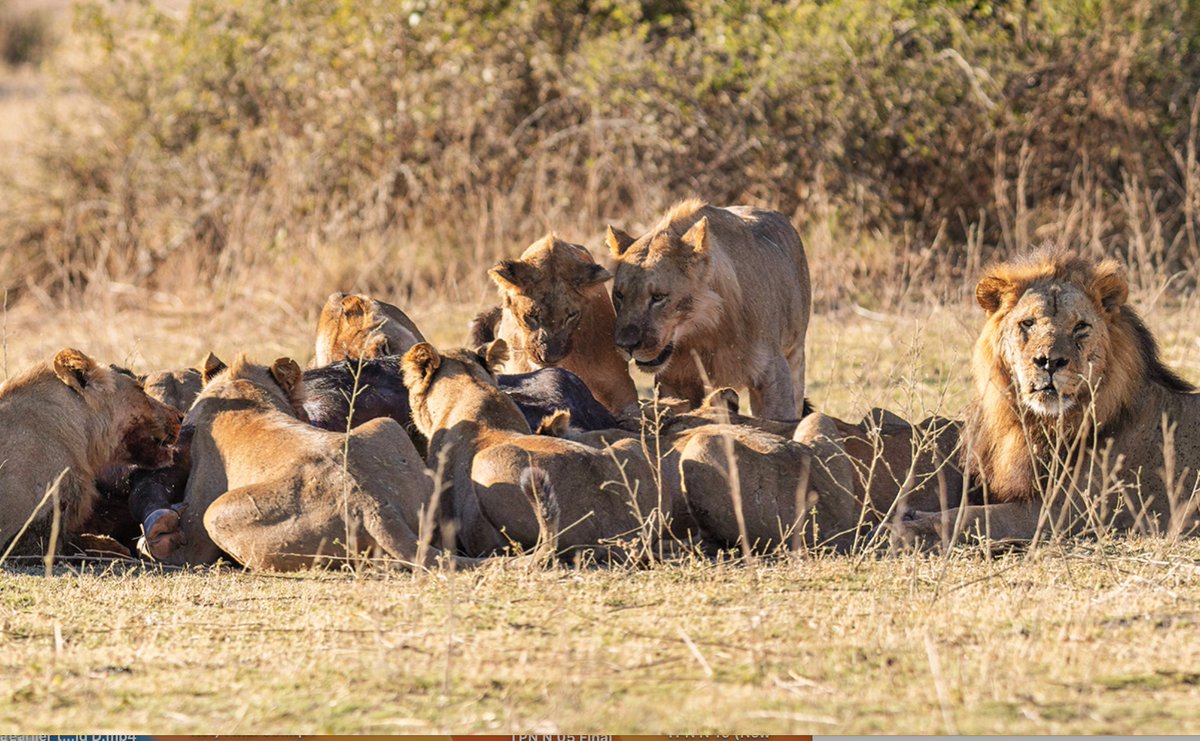 The Progress Network tweet media