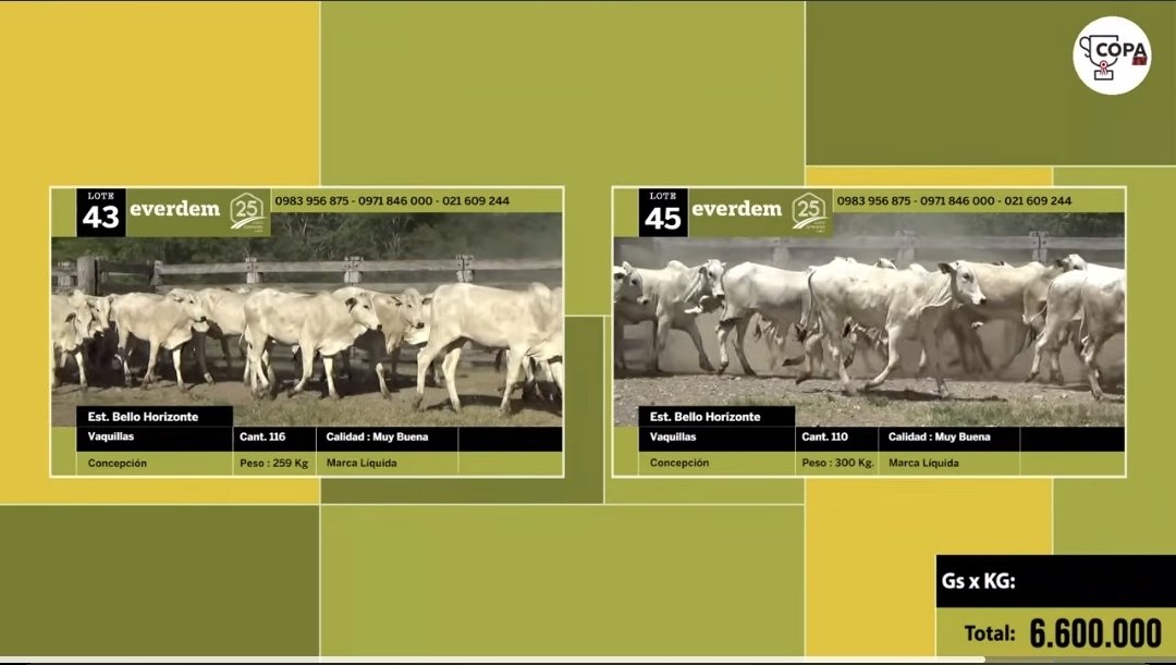 Rodolfo Kliewer 🌾🐂 tweet media