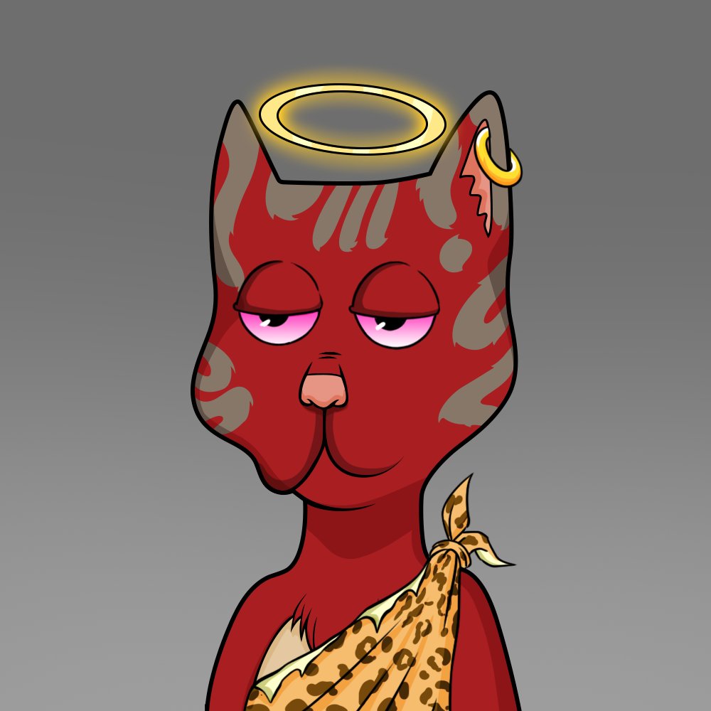 Boss Cat Rocket Club Sales tweet media