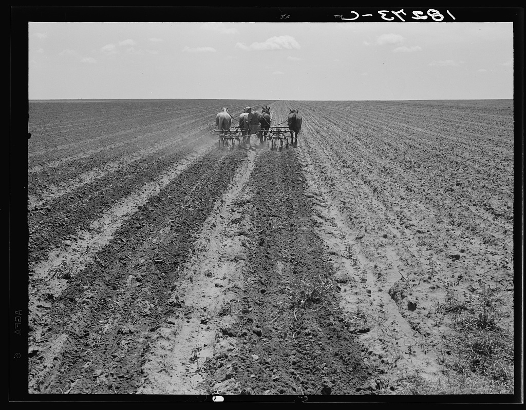 Traces of Texas tweet media