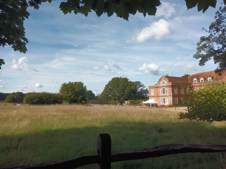 Ren b jangles tweet media