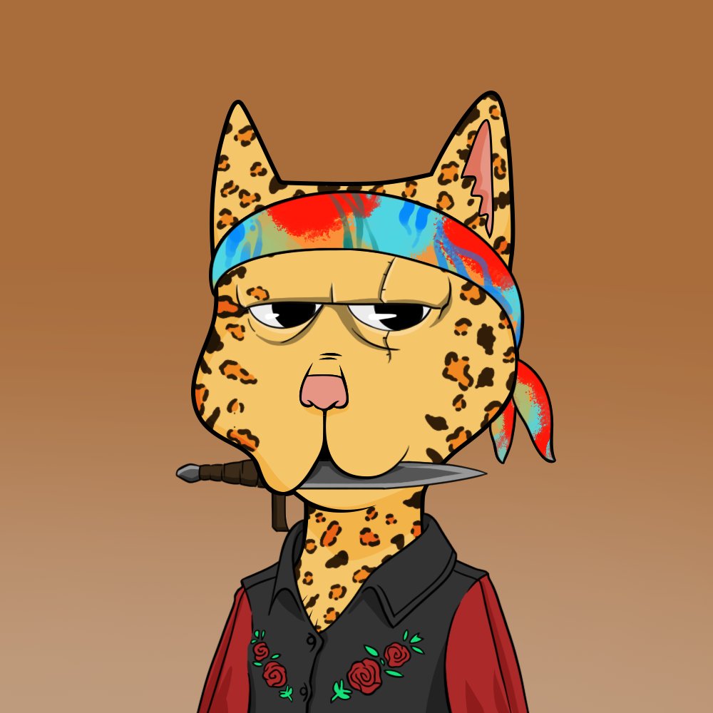 Boss Cat Rocket Club Sales tweet media