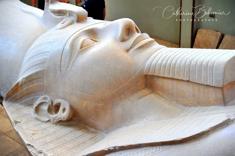 Catherine Bohemier, Photo tweet media