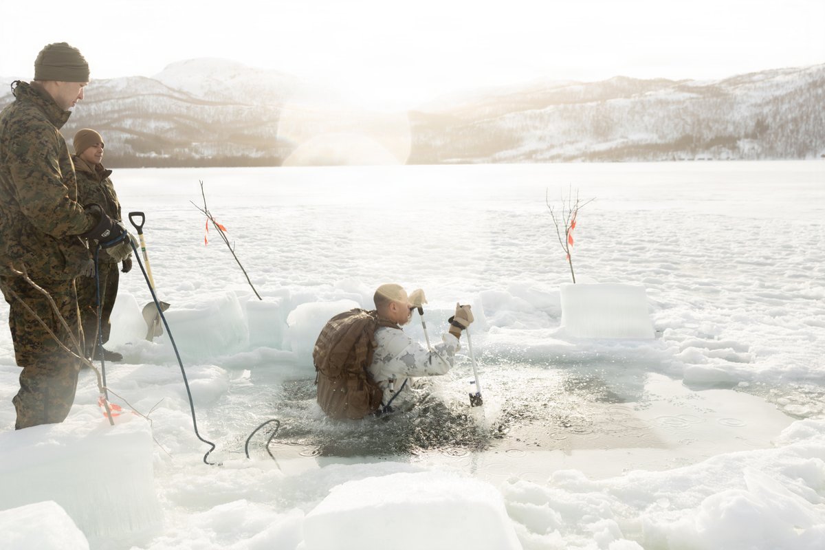 U.S. Marines tweet media