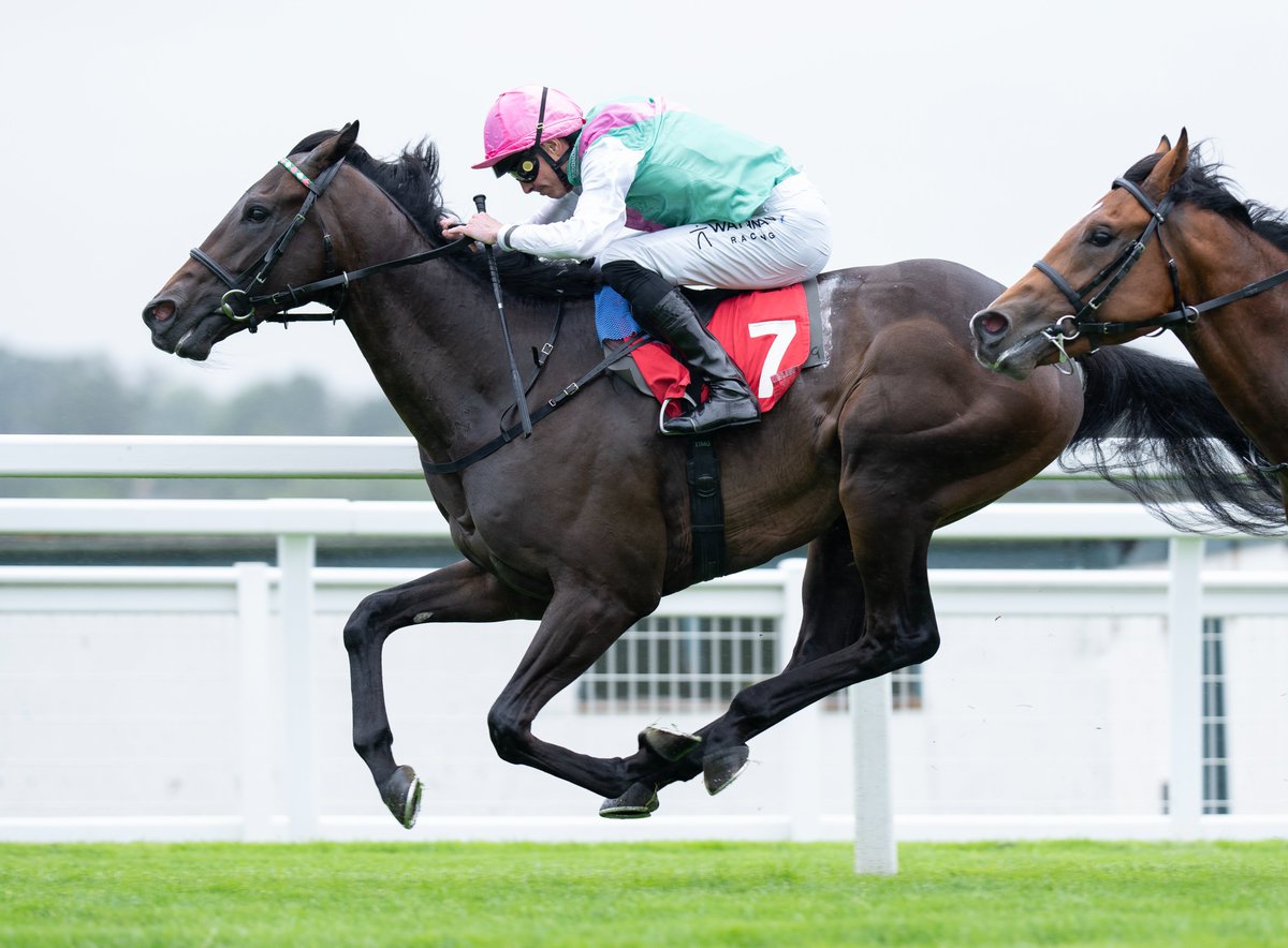 Racing Post tweet media