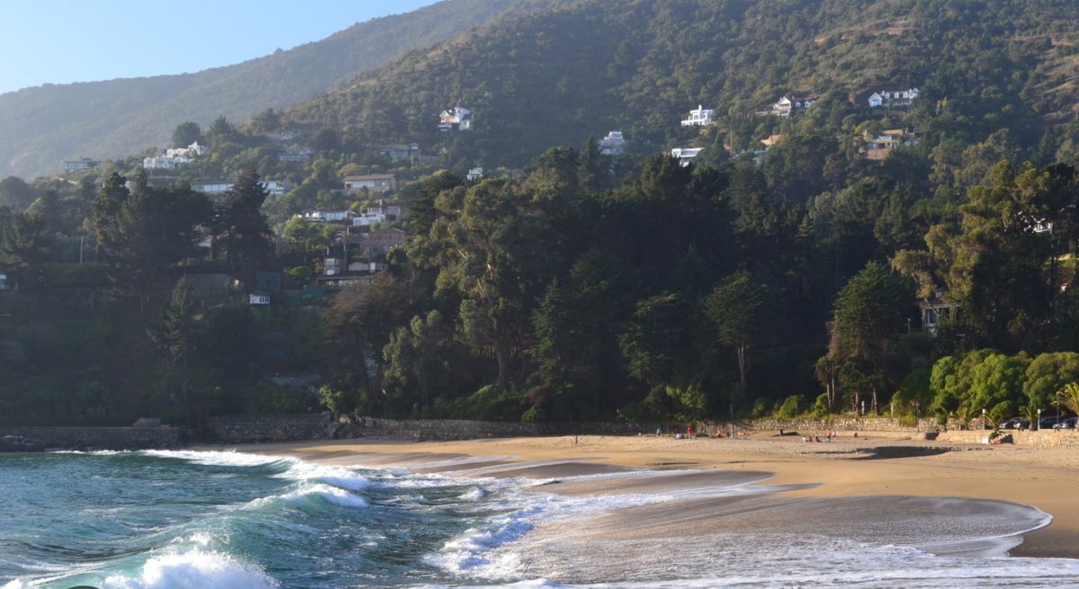 Linette Beatriz tweet media