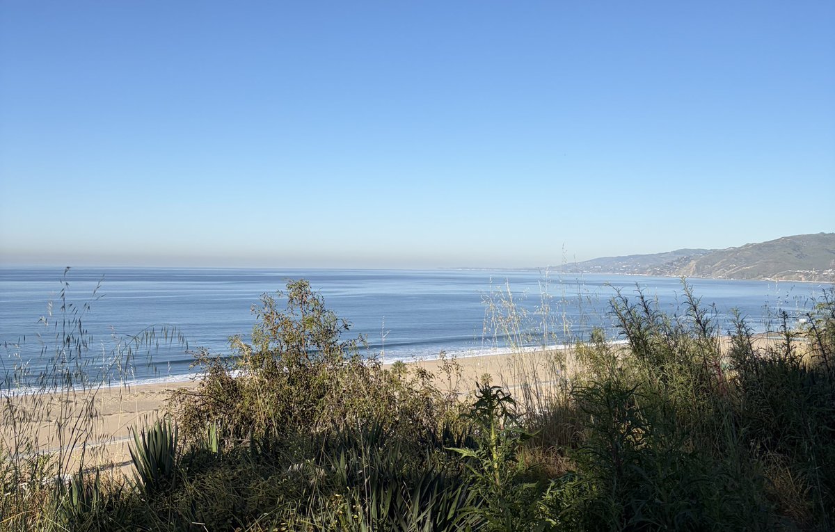 Thomas Lenh tweet media