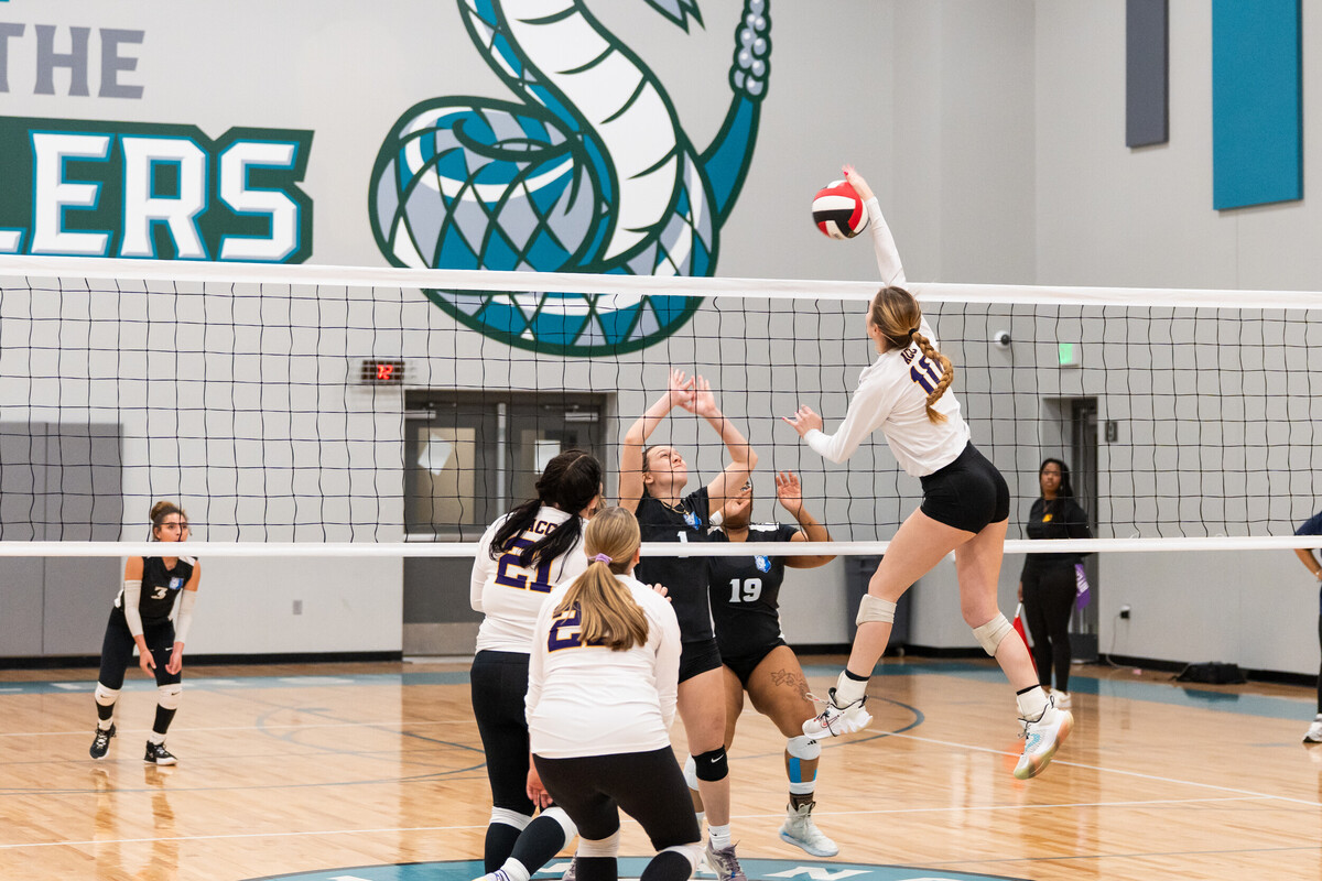 ACC District 🦇 tweet media