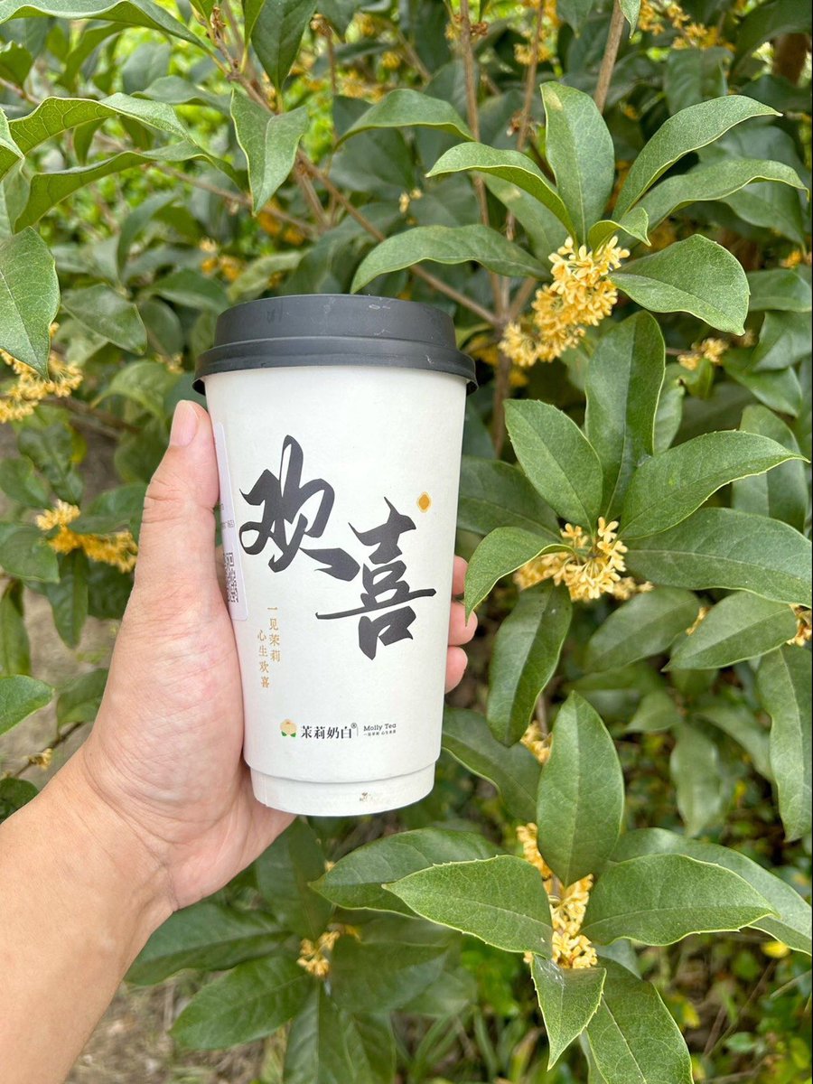 Dallas Shucha tweet media