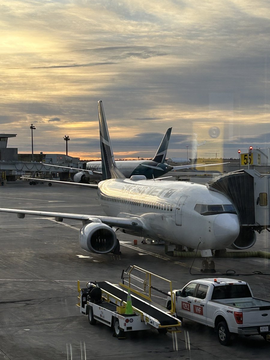 Ian Holloway tweet media