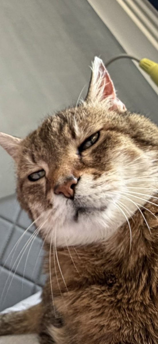 🦶🏻 tweet media