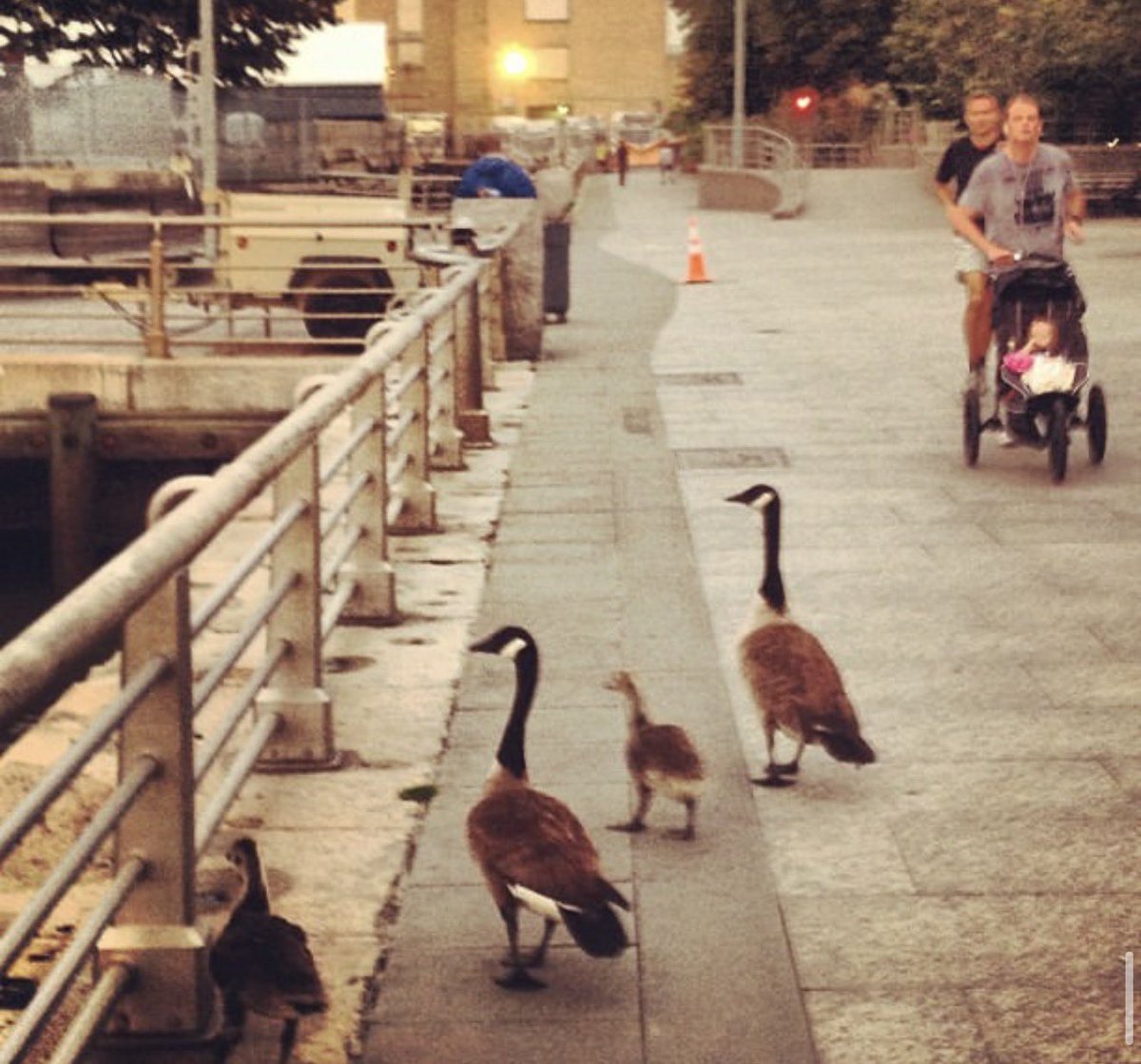 Henry Shevlin tweet media