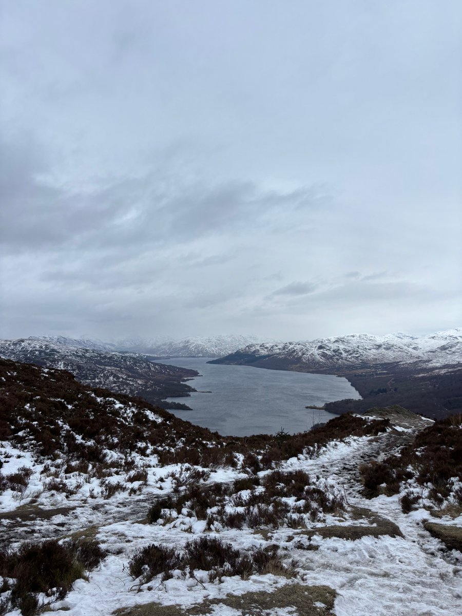 Steven Edginton tweet media