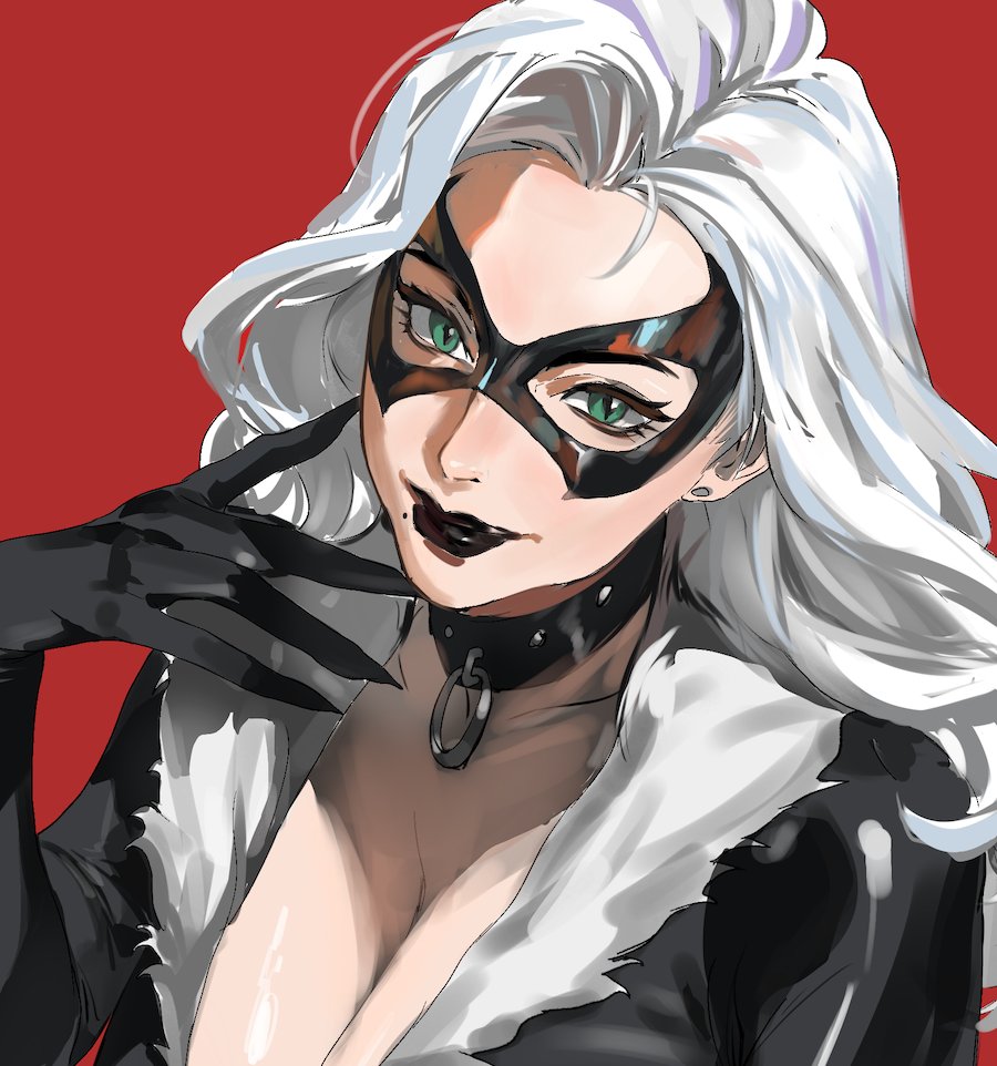 black cat 