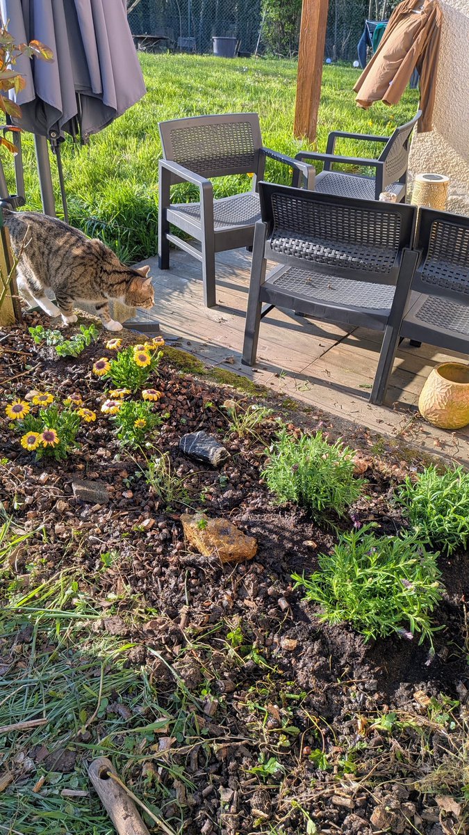 StavMat ✈️ tweet media