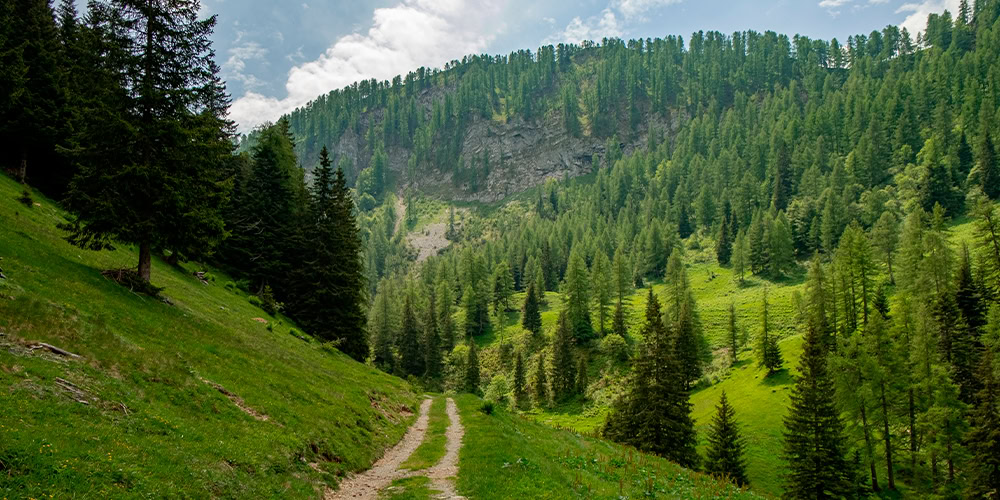 CR Lombardia tweet media