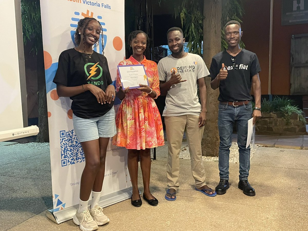 Bitcoin Victoria Falls tweet media