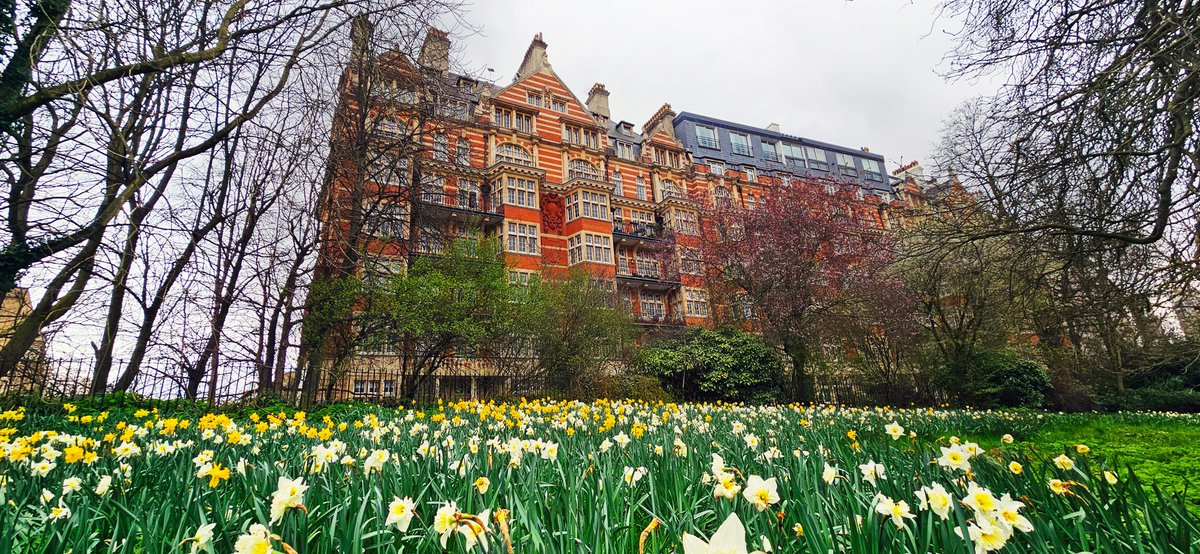bccsite's tweet photo. Spring across London, through the lens of our projects. 🌿
As the city shifts into a new season, we’re fortunate to be working in some of its most iconic neighbourhoods.
📍 Parkside, Knightsbridge
📍 Orme Square, Bayswater
📍 Wilton Place, Knightsbridge
📍 Hill Street, Mayfair https://t.co/2cDnAPIN83