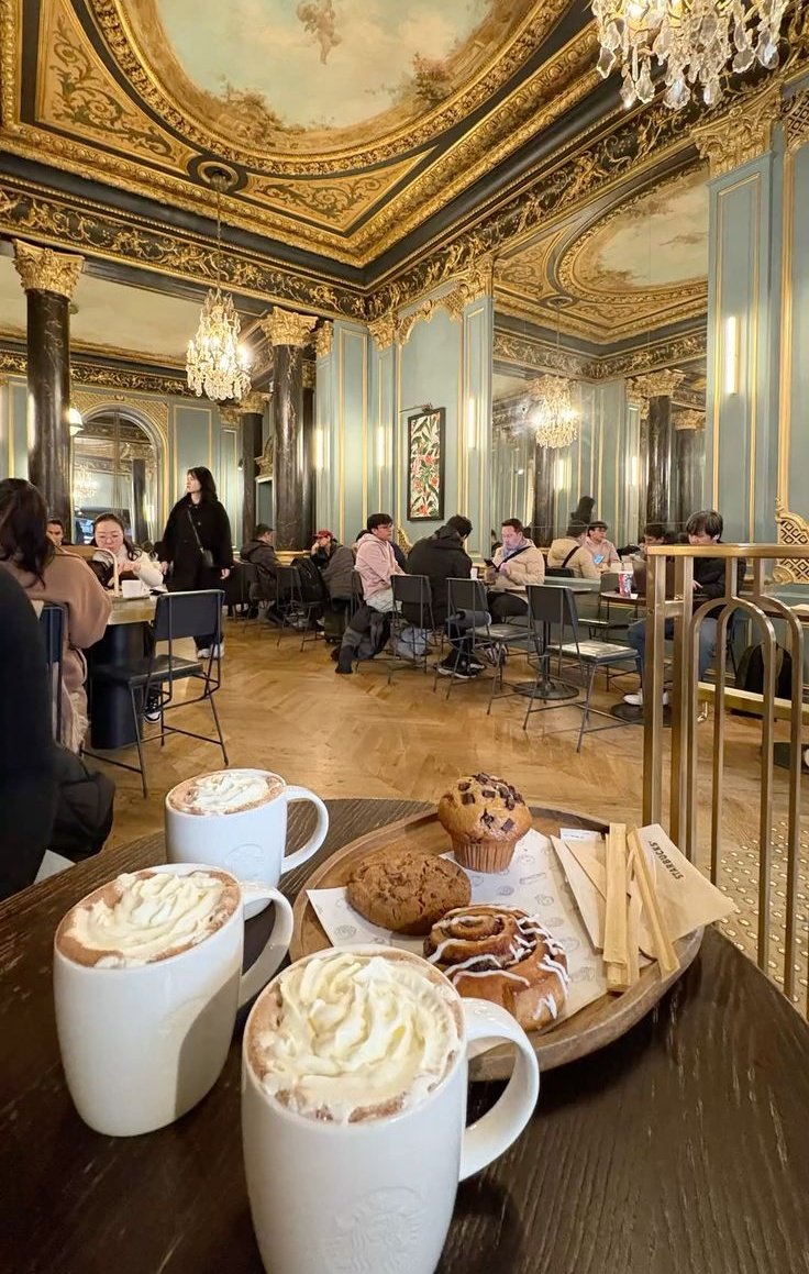 France Safety Travel tweet media