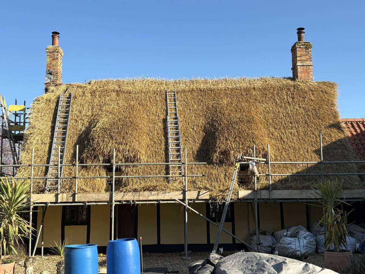 Chris Dodson tweet media