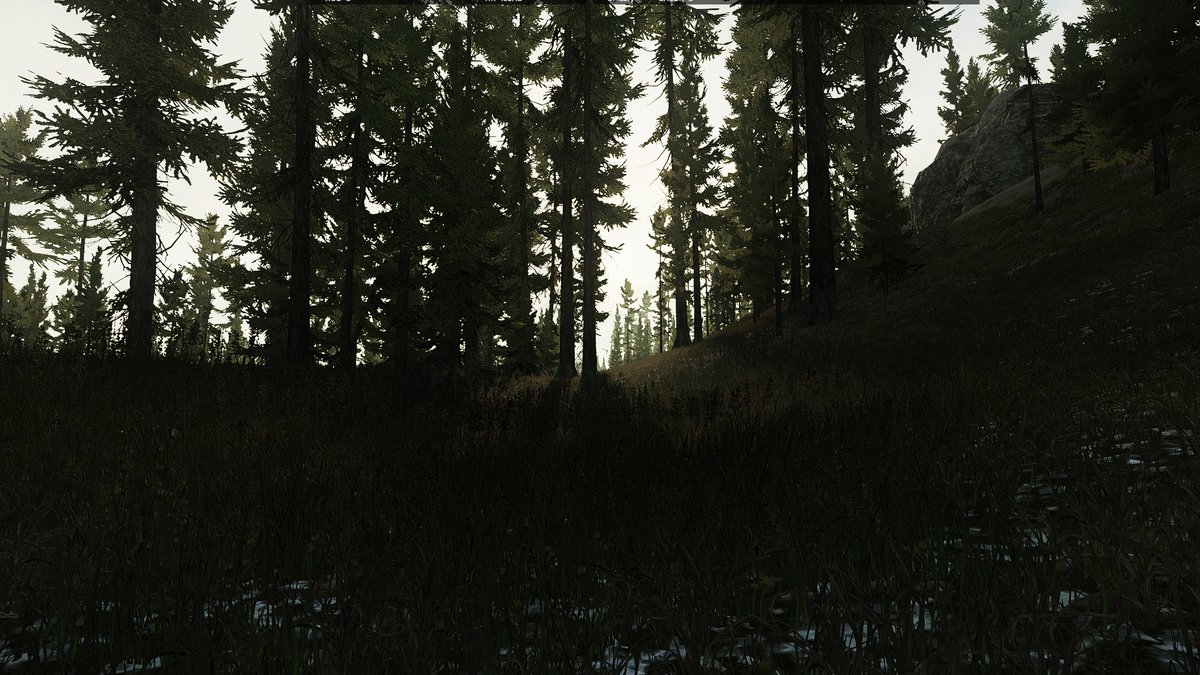 The Beret Boy tweet media