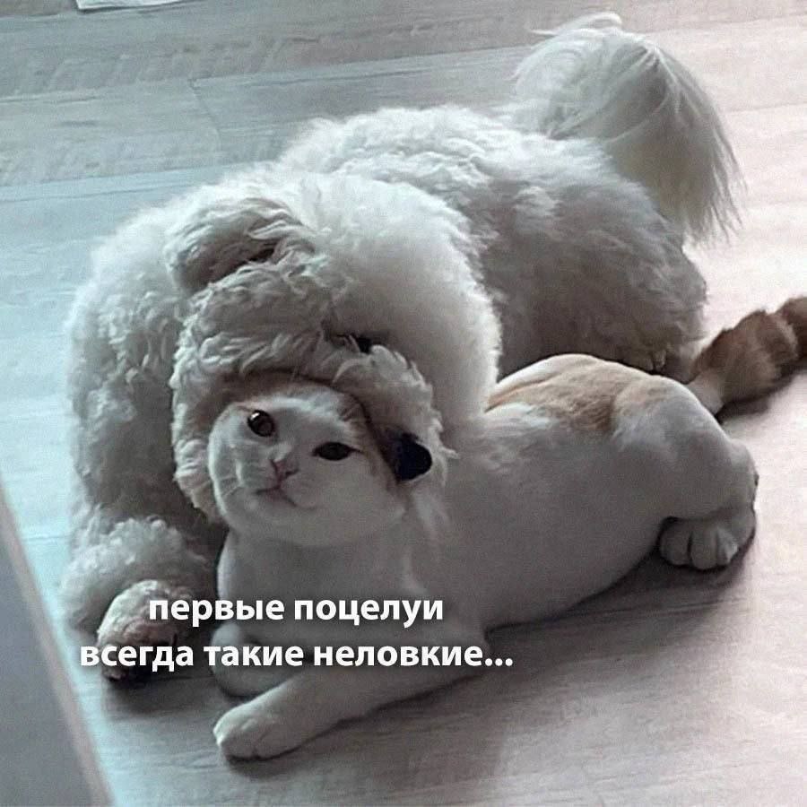 juliamayko's tweet photo. https://t.co/Urve18azEL