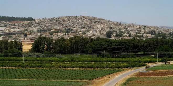 Sinam Mohamad tweet media