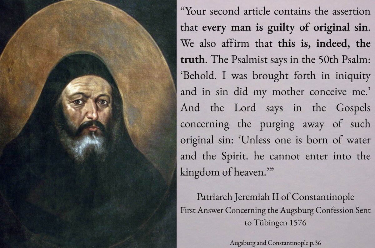 Orthovik Vision tweet media