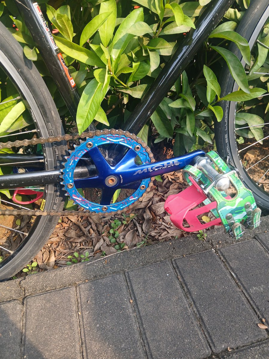 Kijang Belang tweet media