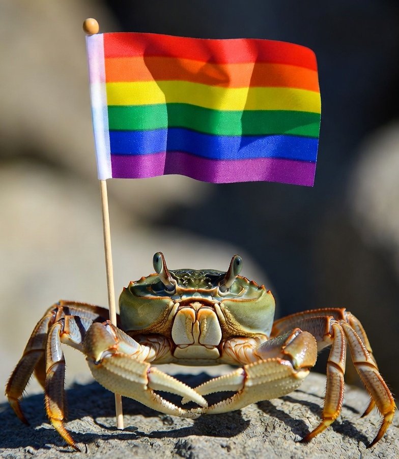 Gourav🗣✨️ tweet media